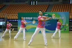 棒球与流体力学下的位移球路解析